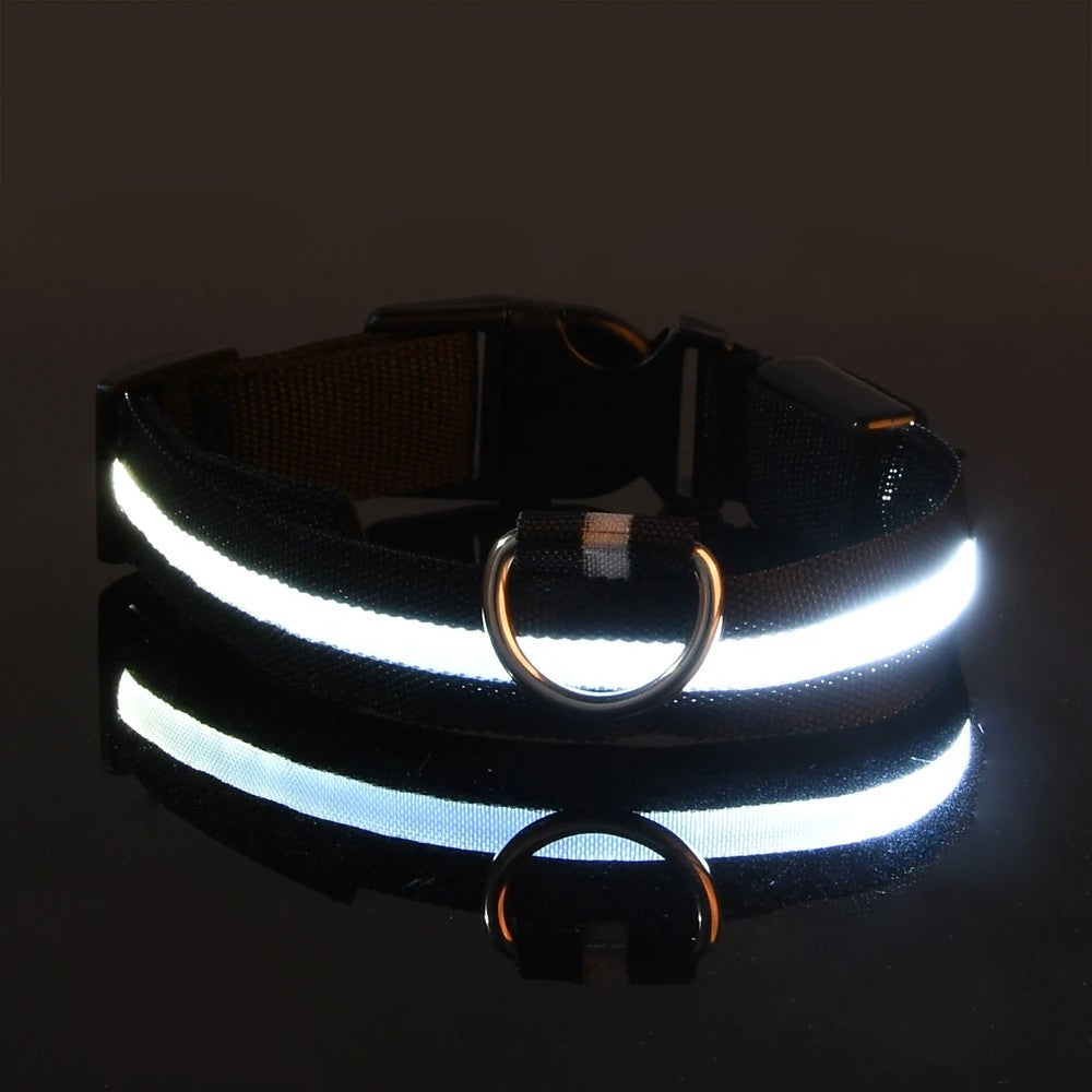 GlowPup™ LED Night Safety Collar