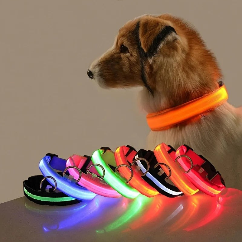 GlowPup™ LED Night Safety Collar