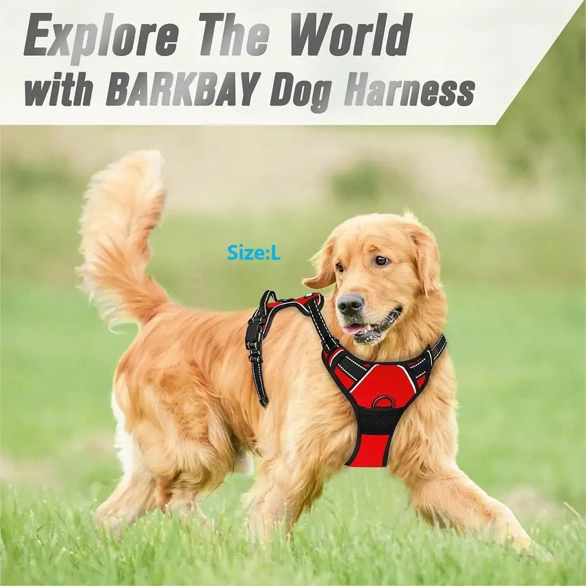 Smart Harness Pro™ – The Ultimate No-Pull Dog Harness