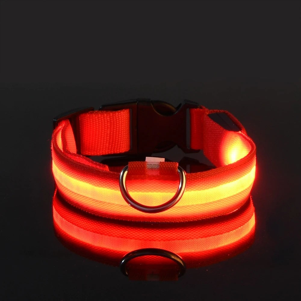 GlowPup™ LED Night Safety Collar