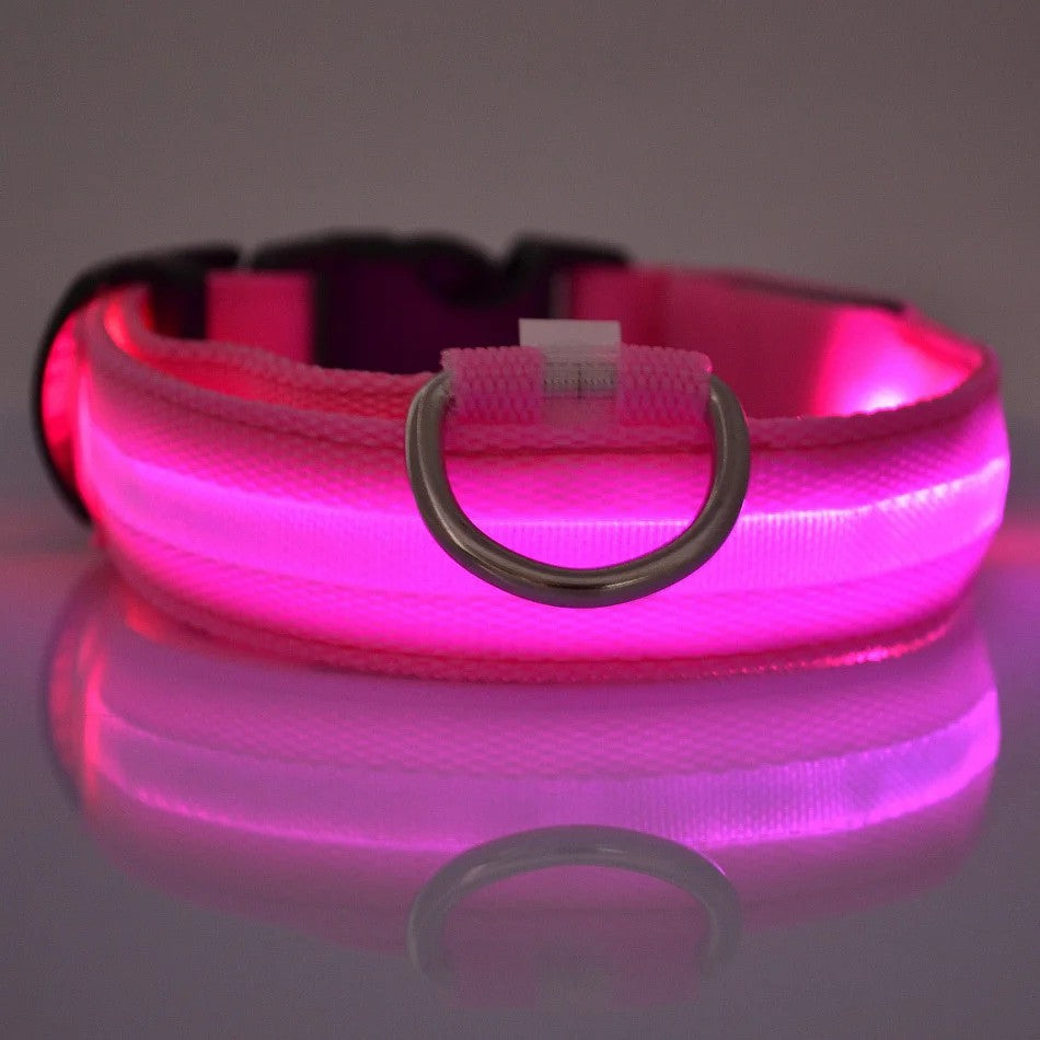 GlowPup™ LED Night Safety Collar