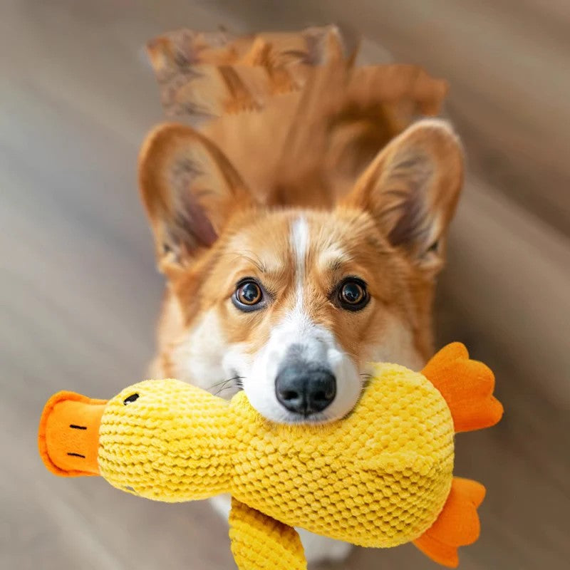 Smart Plush Duck Toy™ – Interactive Fun for Happy Dogs!