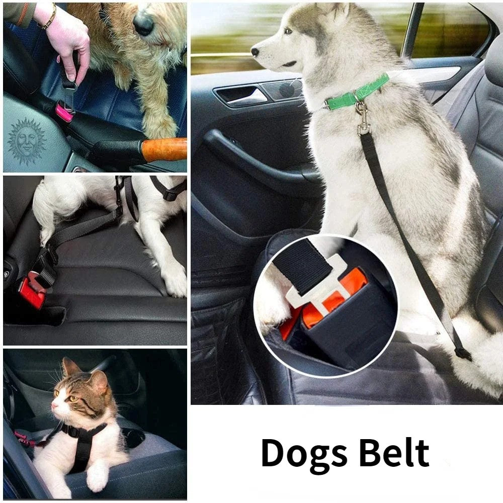SafeRide™ Adjustable Dog Seat Belt