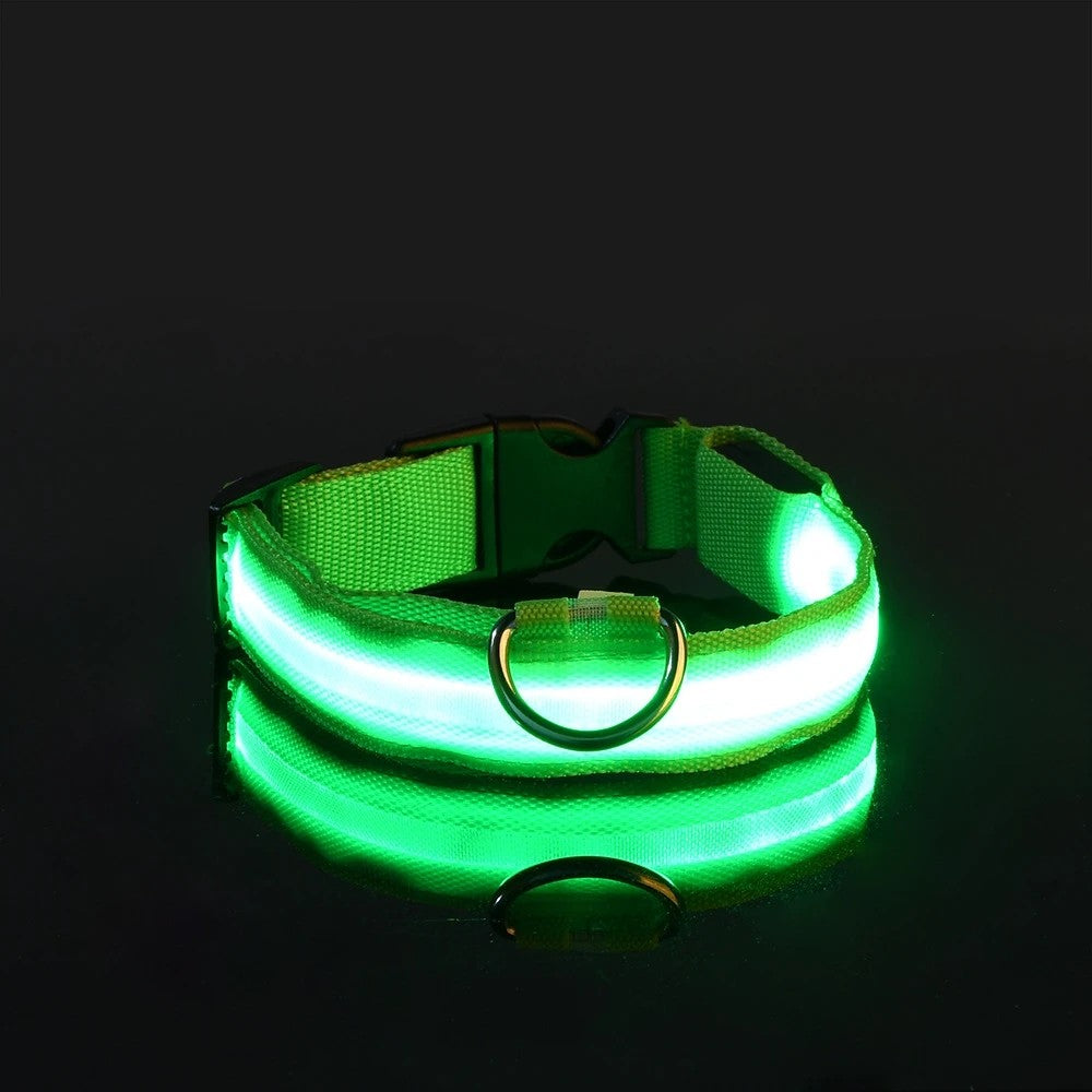 GlowPup™ LED Night Safety Collar