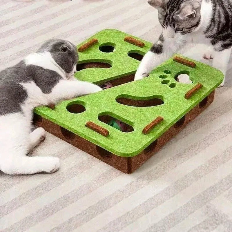 MazePaw™ Cat Puzzle Toy – Interactive Brain Game for Smart Cats