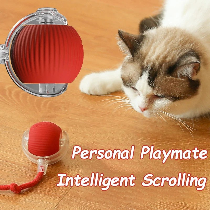 ChaseTail™ Interactive Cat Ball – Smart Moving Toy for Endless Fun