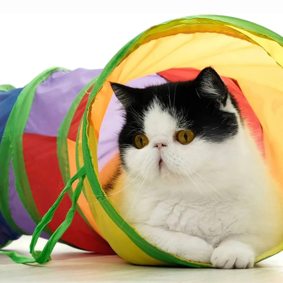 PurrPlay™ Foldable Cat Tunnel Tube