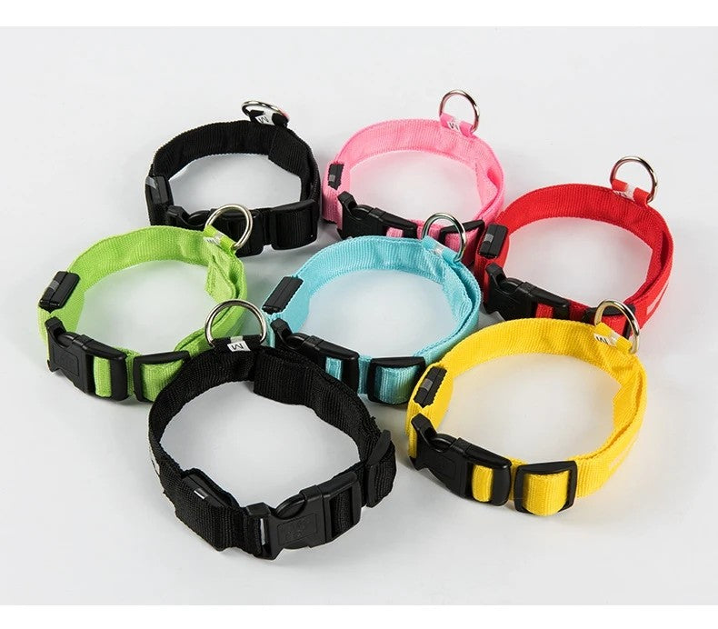 GlowPup™ LED Night Safety Collar