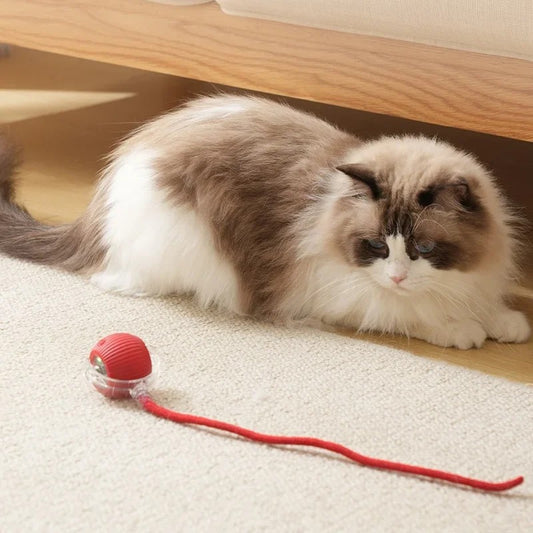 ChaseTail™ Interactive Cat Ball – Smart Moving Toy for Endless Fun