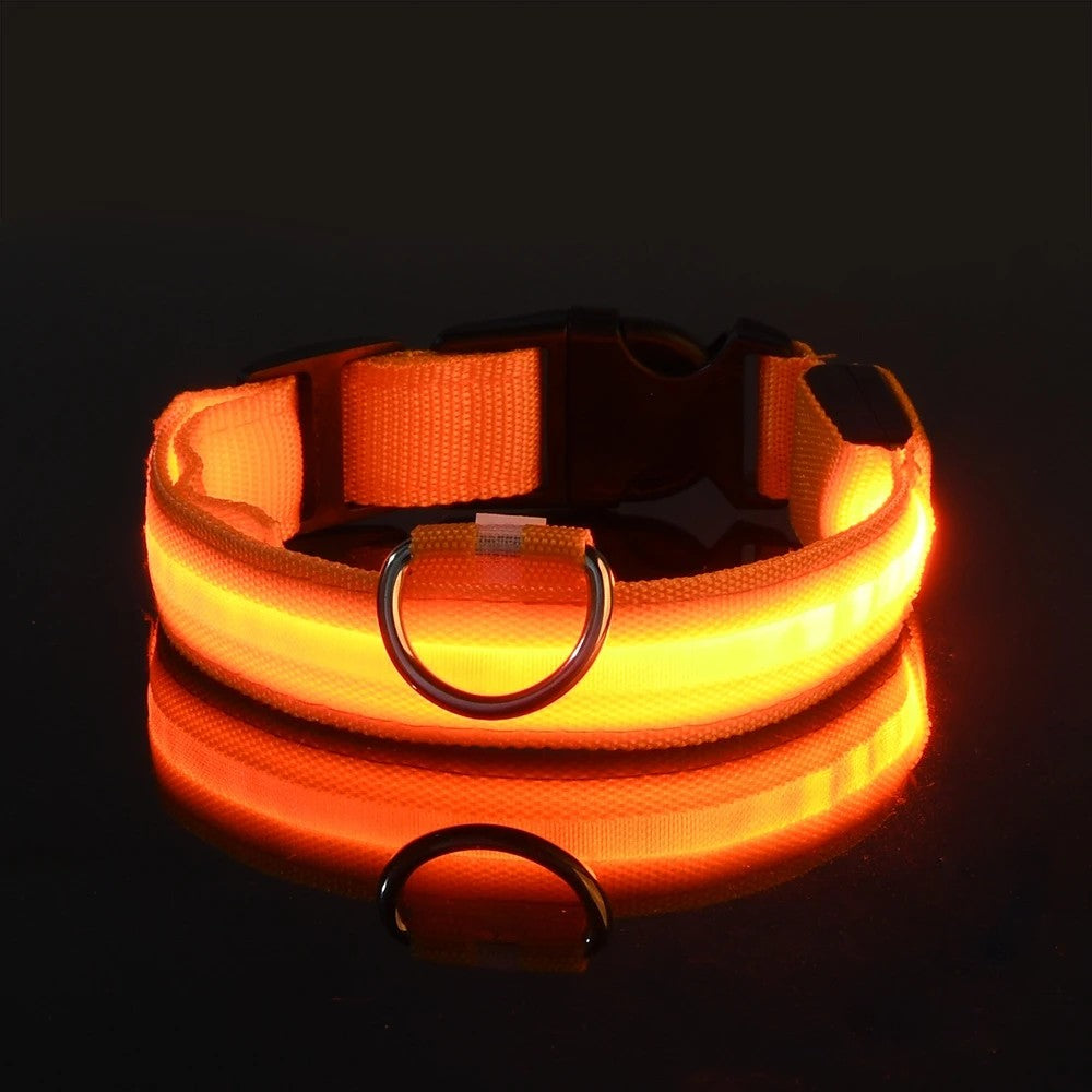 GlowPup™ LED Night Safety Collar