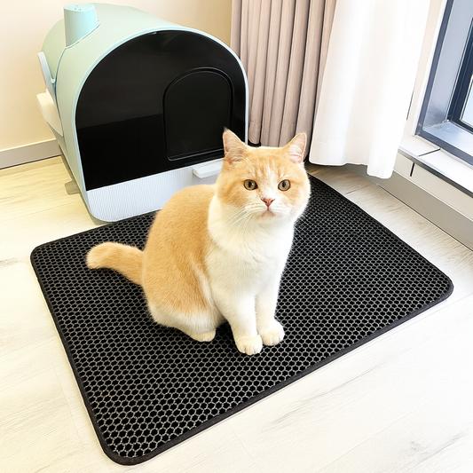 CleanPaws™ Double-Layer Cat Litter Mat